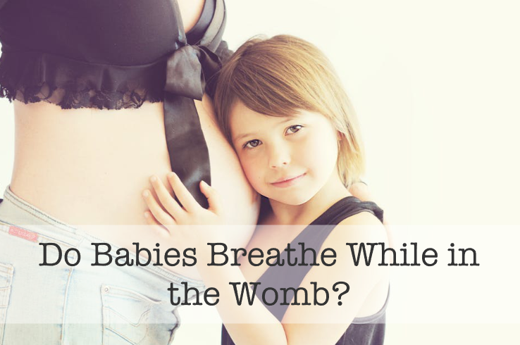 How Do Babies Get Oxygen in the Womb? babiesbreathe