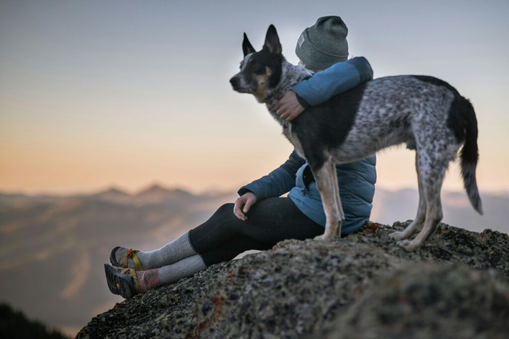 mountain dog with a woman on the top of the rocky mountains