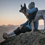 mountain dog with a woman on the top of the rocky mountains